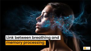Read more about the article Breathing & Memory Formation- Surprising Link During Sleep