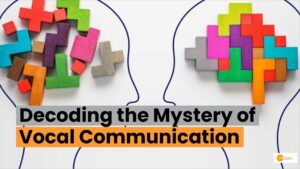 Read more about the article What Science Reveals About Our Brain’s Surprising Skills