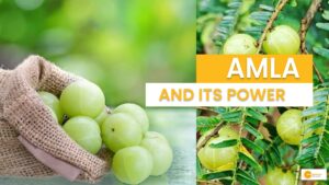 Read more about the article 7 Benefits Of Amla And Ways To Consume It for Healthier You