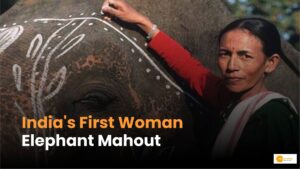 Read more about the article Padma Shri Awardee: Who Is India’s First Woman Elephant Mahout?