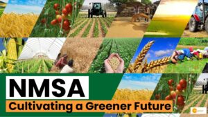 Read more about the article National Mission for Sustainable Agriculture: The Future of Food Security?