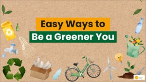 Read more about the article Simple Changes You Can Make To Live More Sustainable Lifestyle