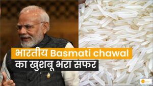 Read more about the article Basmati चावल भारत का गौरव… जानिए कहां से आया यह खुशबू वाला चावल