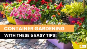 Read more about the article 5 Things To Know About Container Gardening