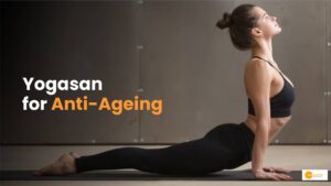Read more about the article Anti-Ageing: चेहरे पर नहीं आने देते ये आसन बढ़ते उम्र के प्रभाव, मिलता है फायदा!