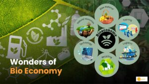 Read more about the article Bio-Economy: A Sustainable Solution