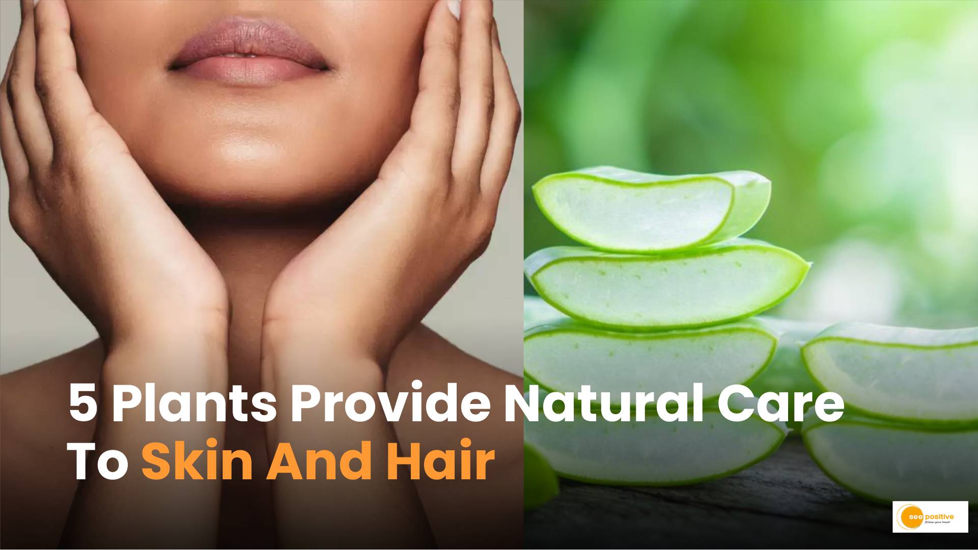 5 plants provide natural care to skin and hair