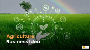 Read more about the article Agriculture Business Idea: सिर्फ 3 महीने में मुनाफा देती है ये खेती!