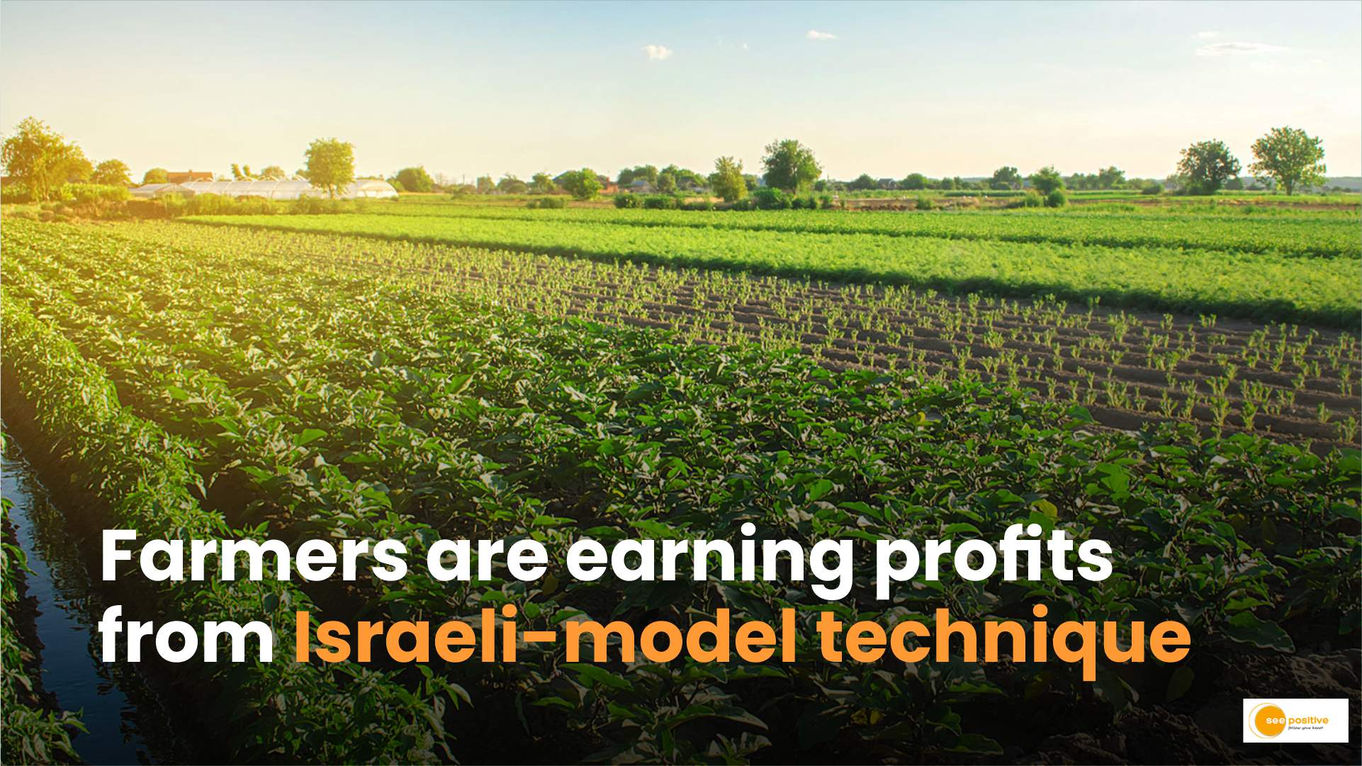 Israeli-model technique