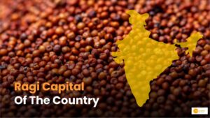 Read more about the article IAS की पहल से कुपोषित जिला बना देश का रागी कैपिटल!