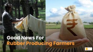 Read more about the article Rubber Subsidy से आसान होगी किसानों की राह, जानें भारत में कहां होती है रबर की खेती!