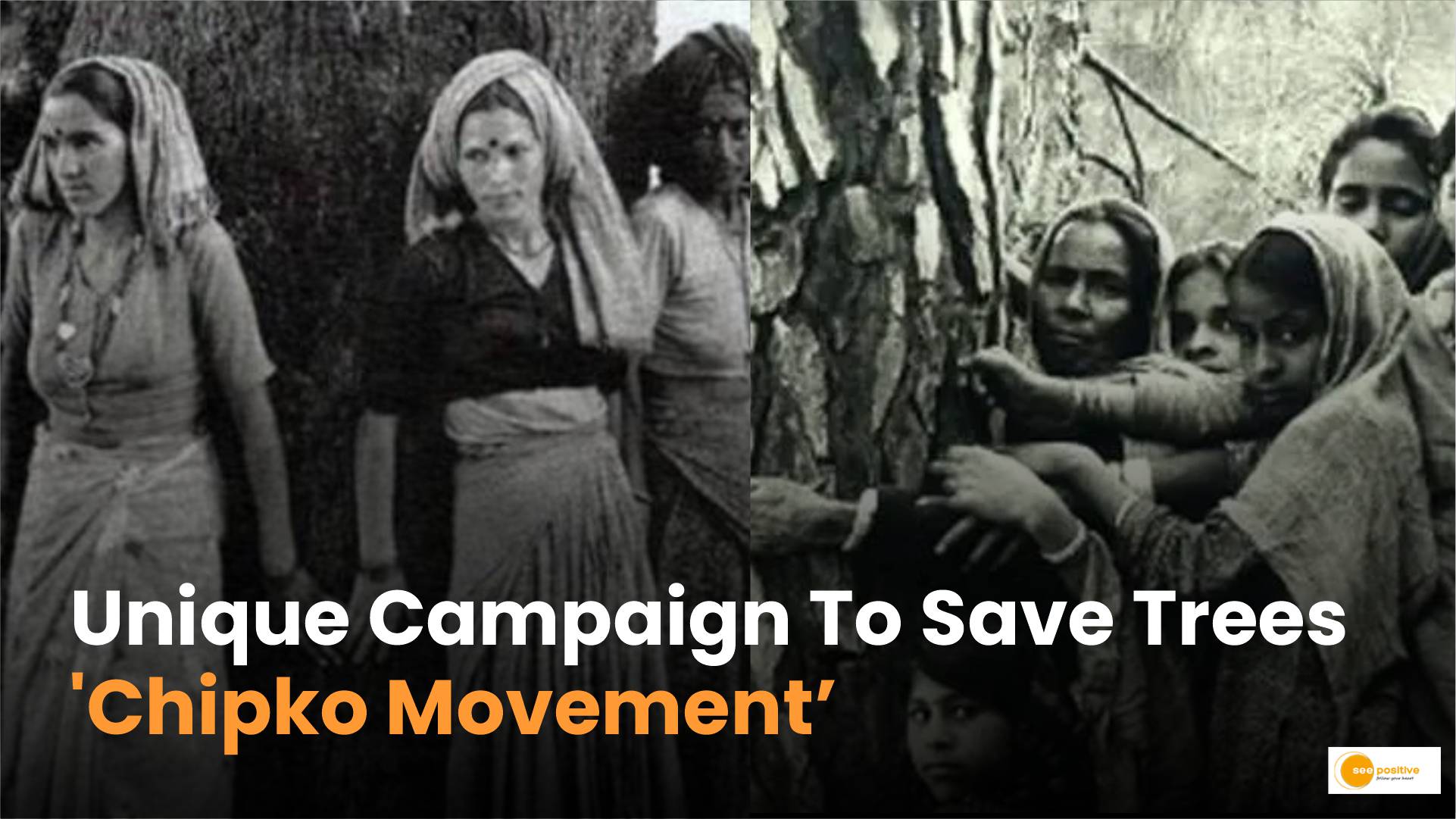 Chipko Movement