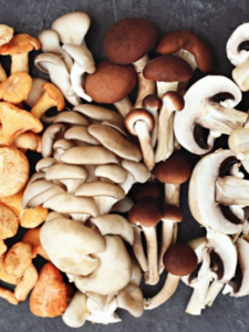 Read more about the article क्या है मशरुम खाने के फायदें?