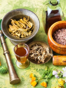 Read more about the article 7 medicinal plants for optimal health in India