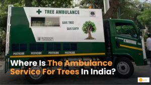 Read more about the article Tree Ambulance:पेड़ों का इलाज करती है ये एंबुलेंस, किस शहर में है सुविधा?