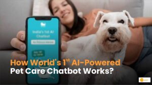Read more about the article Chatbot: HOW! Revolutionizing Pet Care with AI
