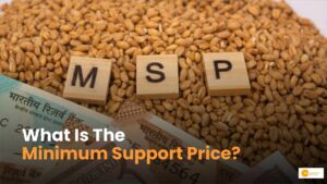 Read more about the article MSP: मिनिमम सपोर्ट प्राइस क्या है? कैसे होता है इसका निर्धारण?
