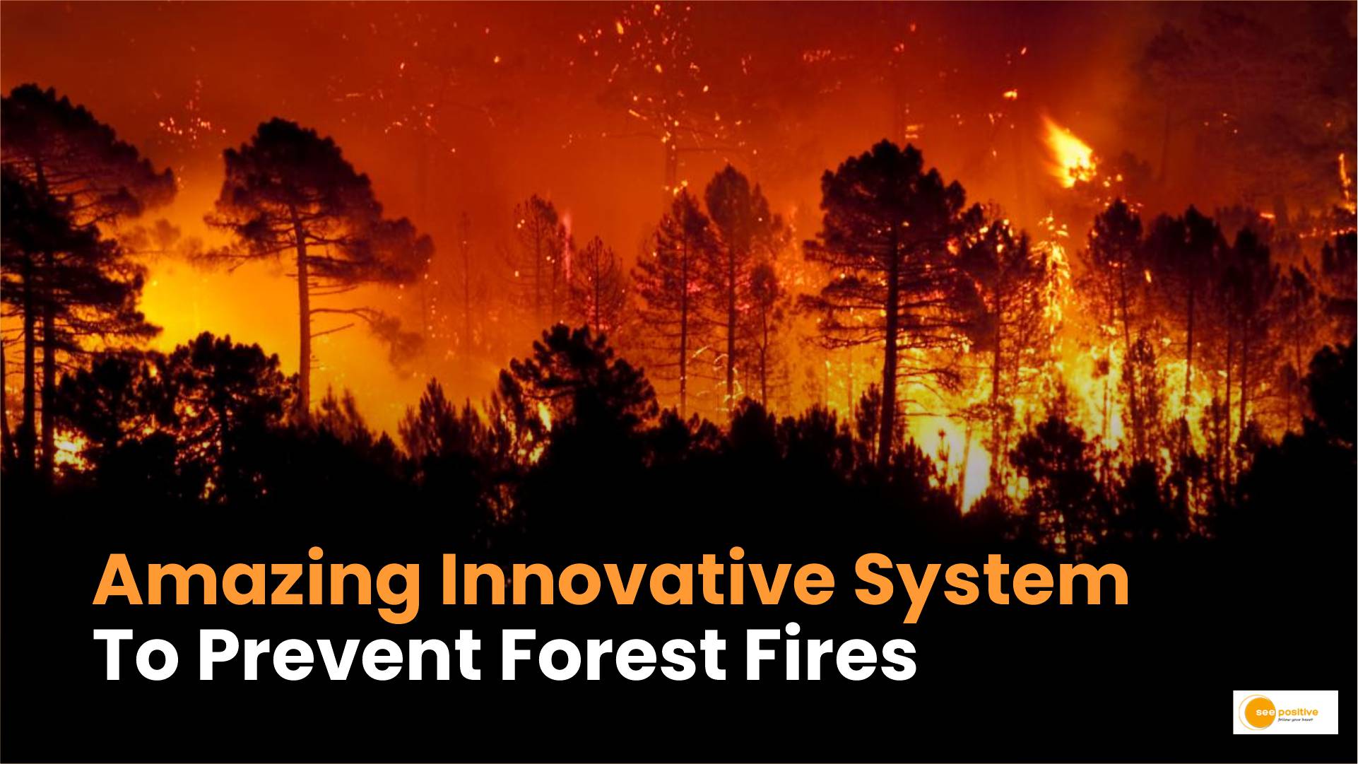 Forest Conservation