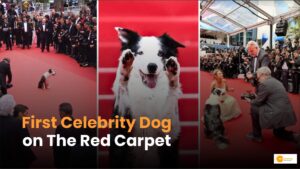 Read more about the article Cannes Film Festival 2024: Meet Messi, the Four-Legged Star!