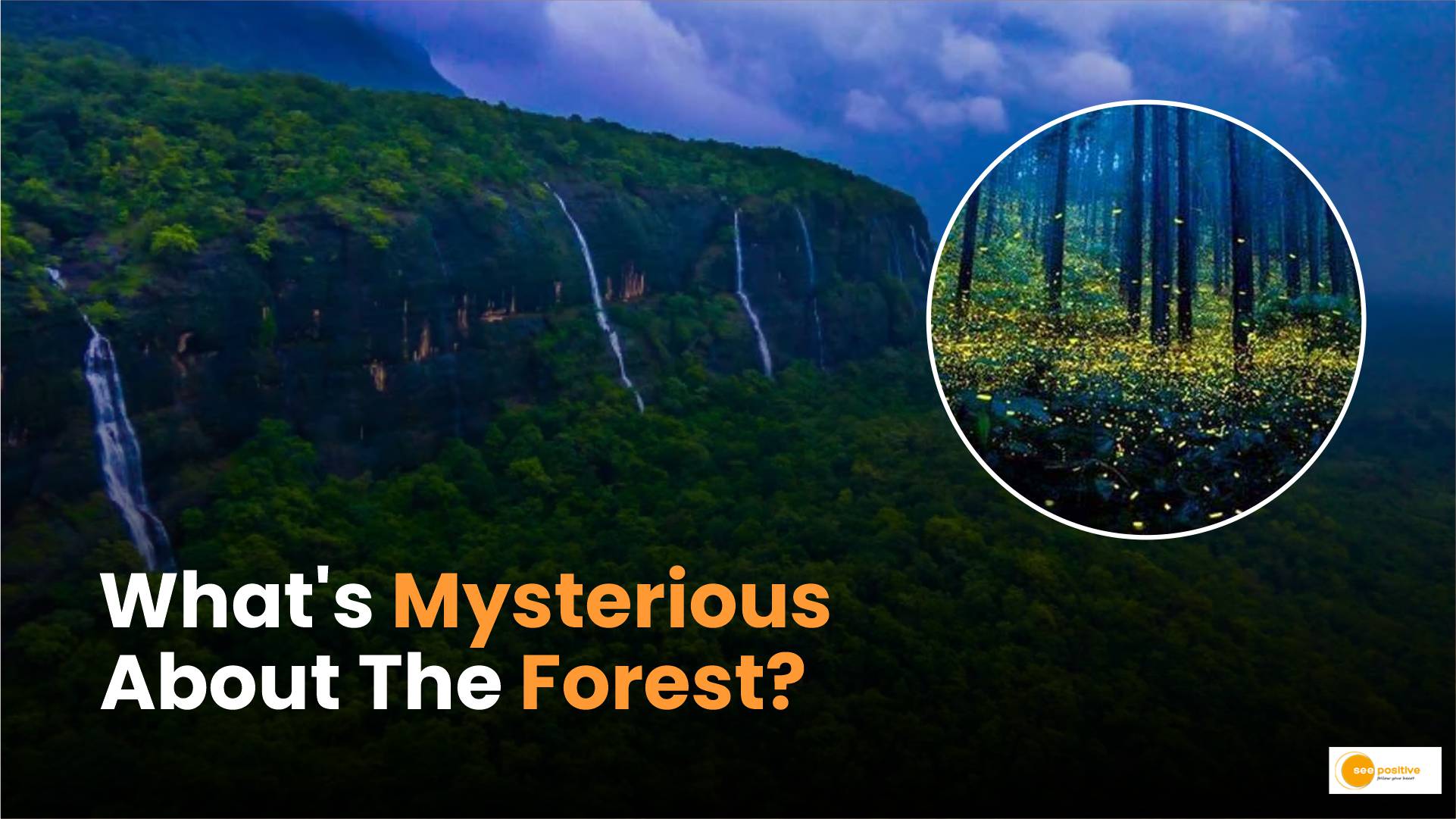 Forests