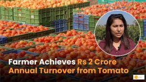 Read more about the article Success Story: From Engineer to Tomato Farming Millionaire in Chhattisgarh