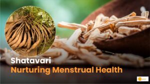 Read more about the article Shatavari: The Wonder Herb and Its Role in Protein