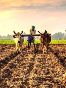 Read more about the article क्या होता है MSP? किसानों करते हैं अक्सर बात!