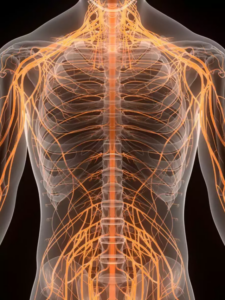 Read more about the article What happens to the human body at 50 degrees Celcius temperatures?