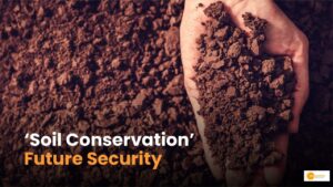 Read more about the article Soil Conservation: सुरक्षित भविष्य के लिए जरूरी है मिट्टी का संरक्षण!