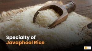 Read more about the article Specialty of Javaphool: भारत के इस चावल के किस्म की है दुनियाभर में मांग!