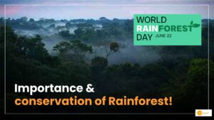 Read more about the article World Rainforest Day: दुनिया के लिए क्यों जरूरी है रेनफॉरेस्ट?