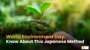 Read more about the article World Environment Day: Children Making Forests Green With Japanese Technique