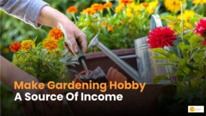 Read more about the article Gardening Business Ideas को बना सकते हैं सोर्स ऑफ इनकम!