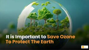 Read more about the article Ozone Layer संरक्षण: एक महत्वपूर्ण कदम पर्यावरण के लिए!