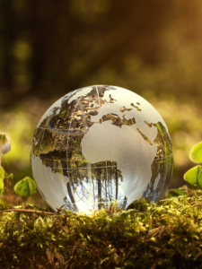 Read more about the article Restore Our Earth: Take Action This World Environment Day!