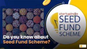 Read more about the article Seed Fund Scheme क्या है? स्टार्टअप वालों के लिए मददगार!