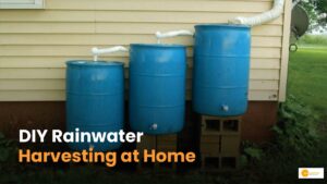 Read more about the article How to Start Rainwater Harvesting at Home at Minimal Cost?