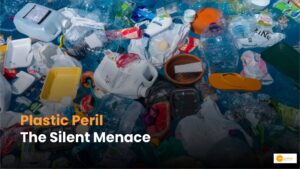 Read more about the article Stop using plastic: भविष्य के इस खतरे को कैसे रोक सकते हैं हम?