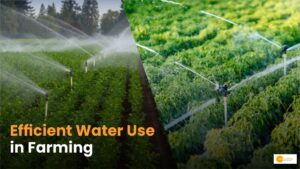 Read more about the article Water Management in Farming: कैसे करें कुशल उपयोग और बचत