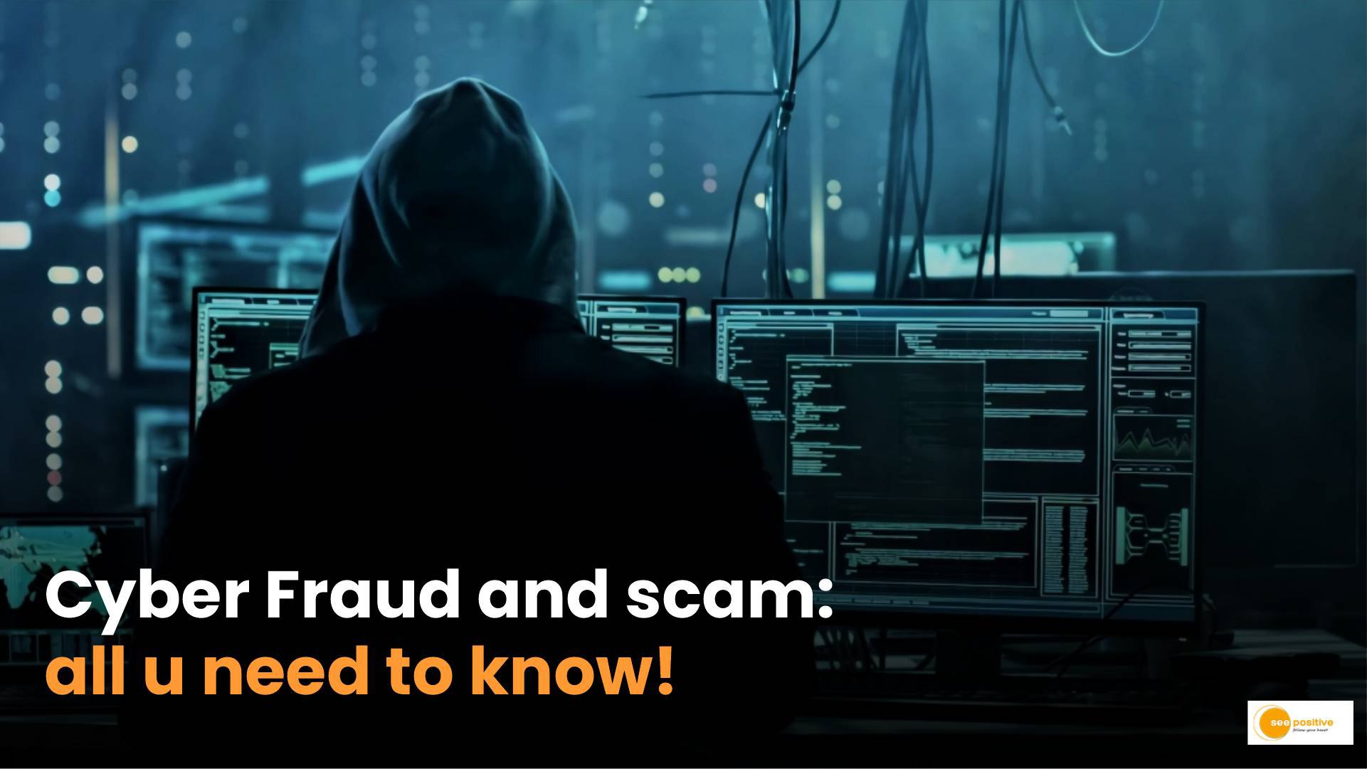 Cyber Fraud