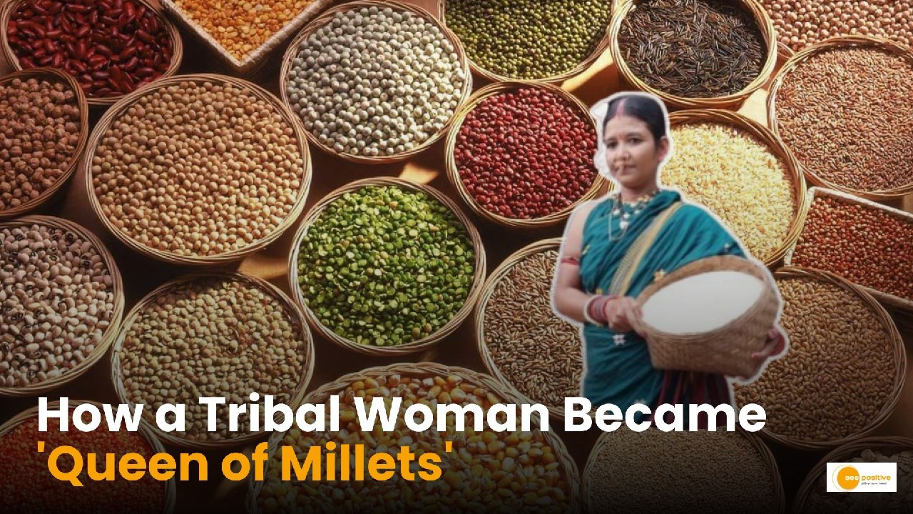 Queen of millets