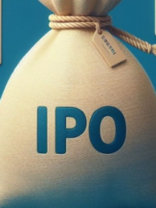 Read more about the article Waaree Energies IPO Update