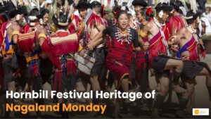 Read more about the article Hornbill Festival 2024: नागालैंड में क्यों मनाया जाता है ‘हॉर्नबिल फेस्टिवल’?