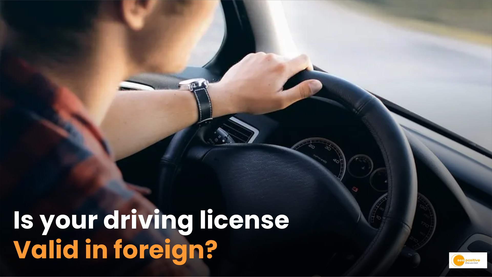 Indian Driving License