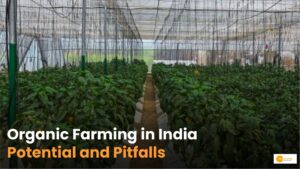 Read more about the article Organic Farming: Towards Healthier Agriculture