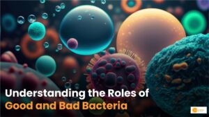 Read more about the article Bacteria: How They Impact Our Health and Environment