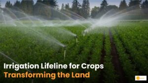 Read more about the article Irrigation Methods: सिंचाई का कौन सा तरीका है फायदेमंद?