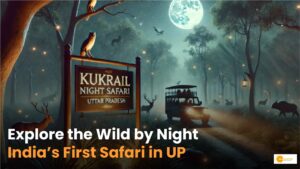 Read more about the article Night Safari: उत्तर प्रदेश में खुलेगी देश की पहली “नाइट सफारी”