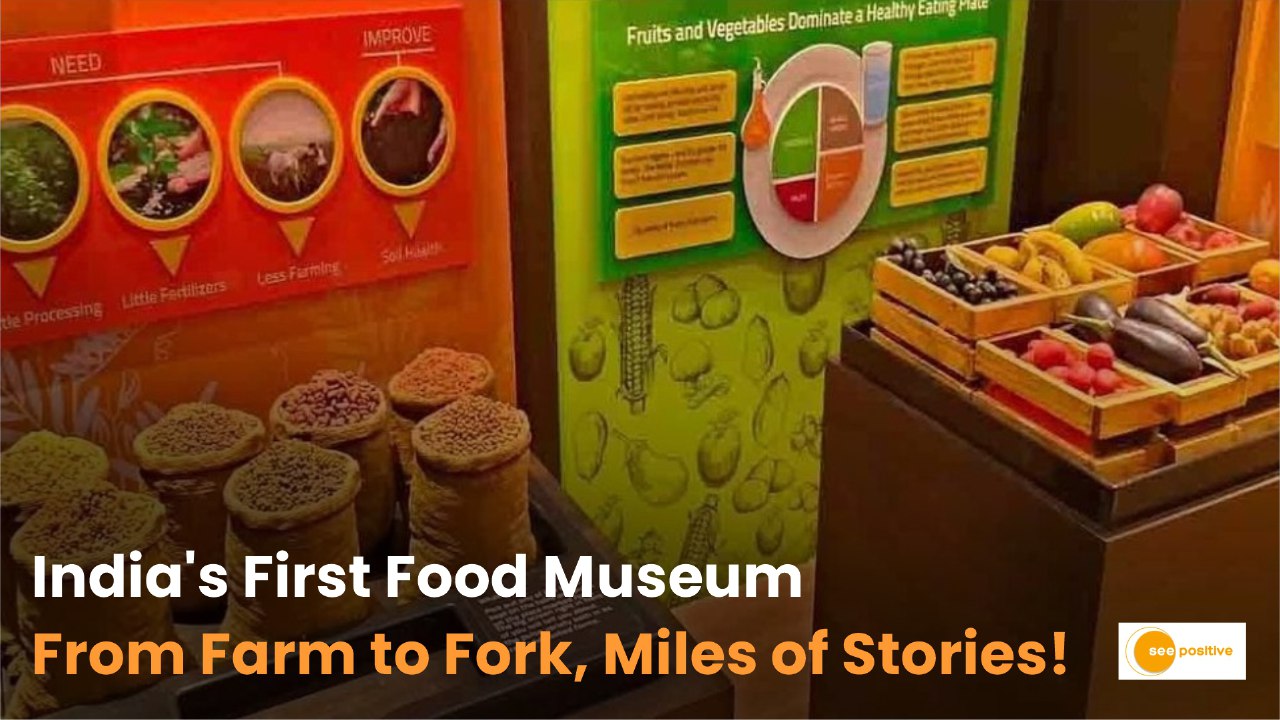 The Food Museum