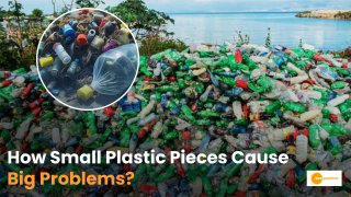 Plastic pollution